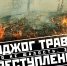 15 причин не жечь сухую траву - Советский городской округ