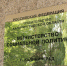Многодетные семьи получат дополнительную выплату от регионального правительства - Советский городской округ