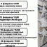 Анонс еженедельных городских экскурсий выходного дня на февраль 2022 года - Музей истории