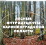 Открытие выставки «Лесные интродуценты Калининградской области» - Музей истории