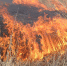 https://borovsk.org/wp-content/uploads/2019/03/5aogon.jpg - Советский городской округ