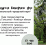 Экскурсия «Уникальный городской парк» (28.05.2022) - Музей истории