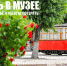 Июль в музее - Музей истории