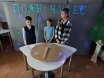 Игровая программа в формате "Поле чудес"