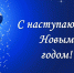 С наступающим Новым годом! - Окружной Совет депутатов