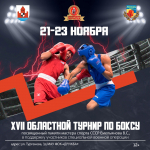 XVII областной турнир по боксу, посвященный памяти мастера спорта СССР Владимира Емельянова