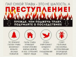 С начала года в регионе было зафиксировано 49 случаев возгорания сухостоя