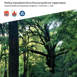 Советск участвует во Всероссийском конкурсе лучших проектов создания комфортной городской среды — 2026